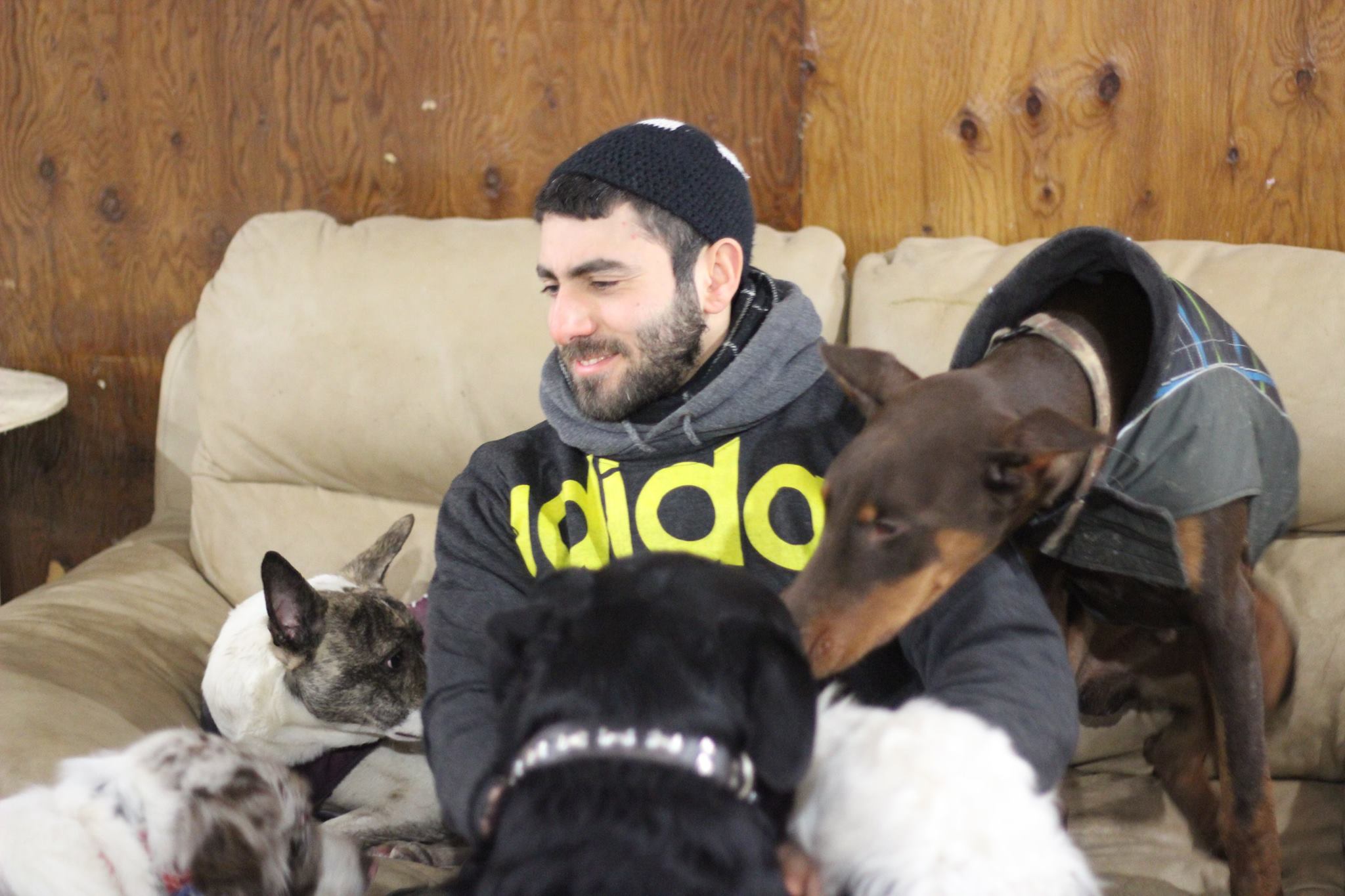 About us - Mina with dogs on couch